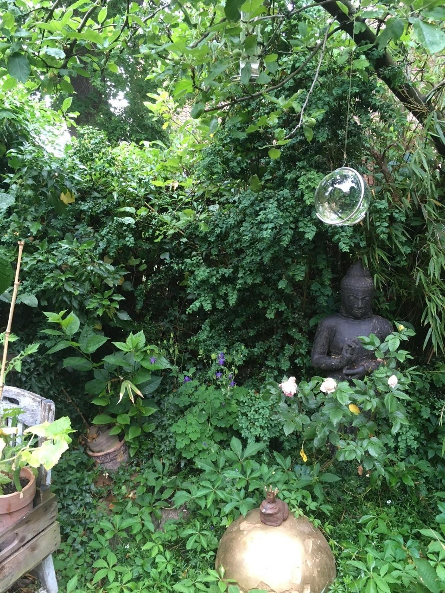Grosse Hobbithoehle Mit Gemeinschaftsgarten Neustadt am Rubenberge Bagian luar foto